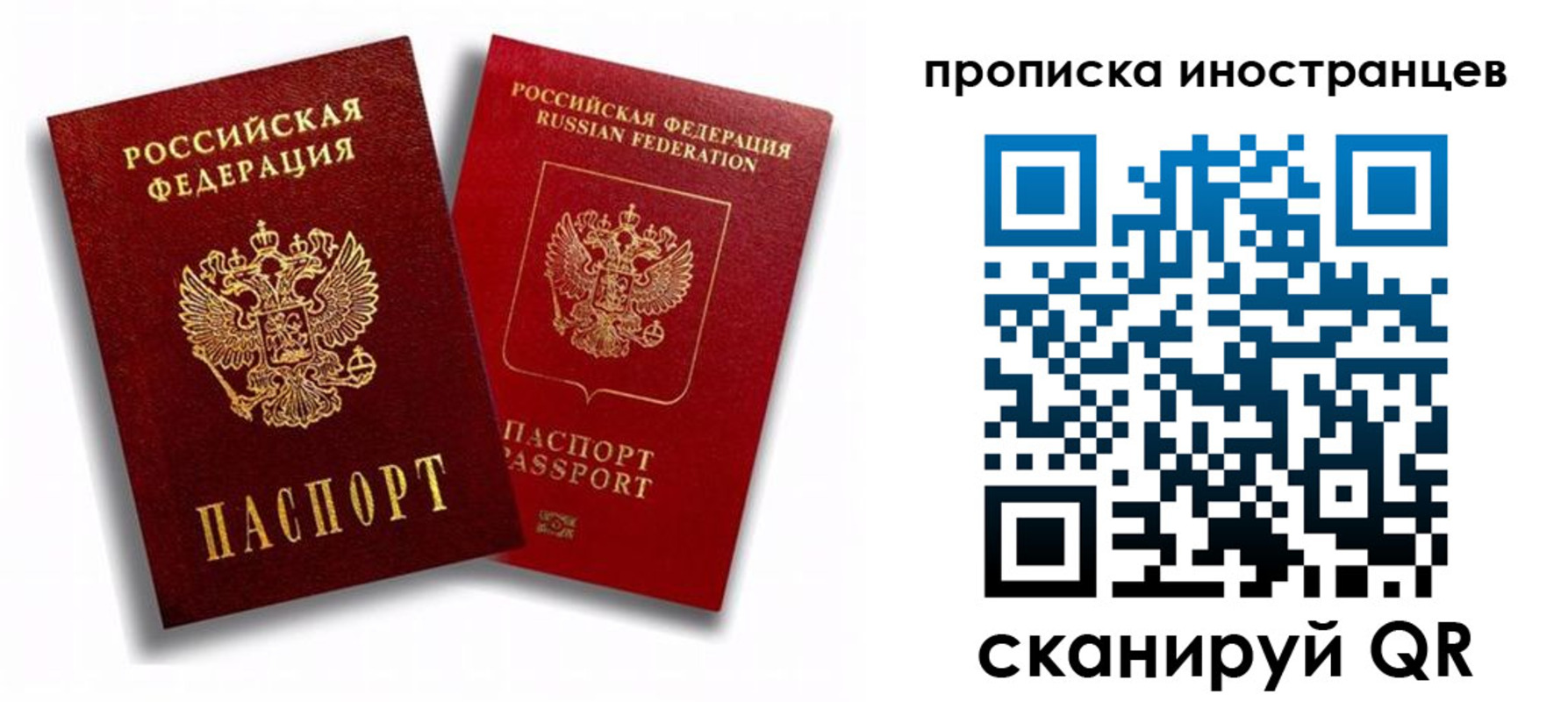прописка паспорт в Дорогобуже